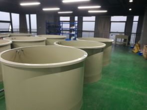 科創組團工業化淡水水產養殖研發中心矚目而成，引領水產養殖新篇章