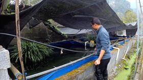 工廠化高密度水產養(yǎng)殖 圓桶刀刮布魚池循環(huán)水系統(tǒng)施工詳解