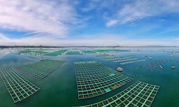 福建漳州 創新多樣化海水養殖模式，鍛造百億級現代漁業新格局