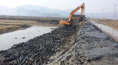水產養殖病害預防 從池塘到餐桌的全鏈條防控策略