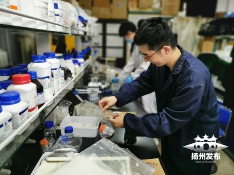 綠色科技新突破 揚(yáng)州大學(xué)研發(fā)環(huán)保生物藥劑，為植物健康保駕護(hù)航